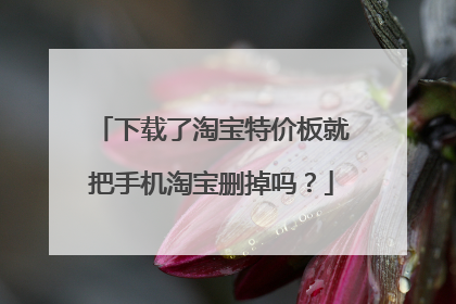 下载了淘宝特价板就把手机淘宝删掉吗?