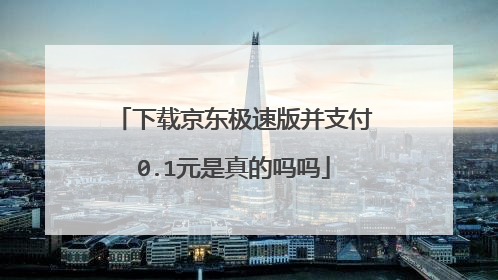 下载京东极速版并支付0.1元是真的吗吗