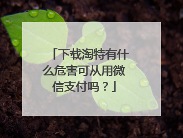 下载淘特有什么危害可从用微信支付吗?