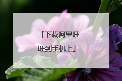 下载阿里旺旺到手机上