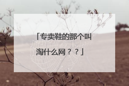 专卖鞋的那个叫淘什么网？？