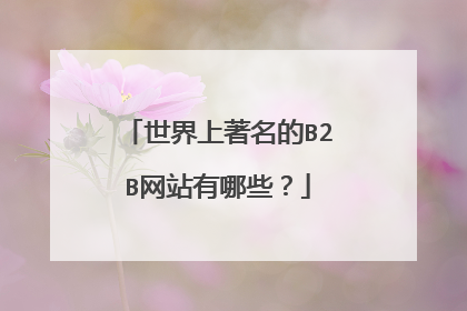 世界上著名的B2B网站有哪些?
