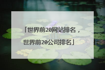 世界前20网站排名,世界前20公司排名