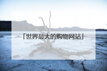 世界最大的购物网站