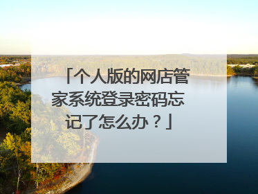 个人版的网店管家系统登录密码忘记了怎么办？