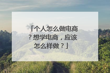 个人怎么做电商?想学电商,应该怎么样做?