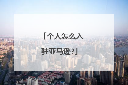 个人怎么入驻亚马逊?
