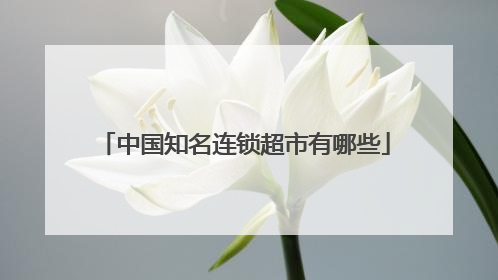 中国知名连锁超市有哪些