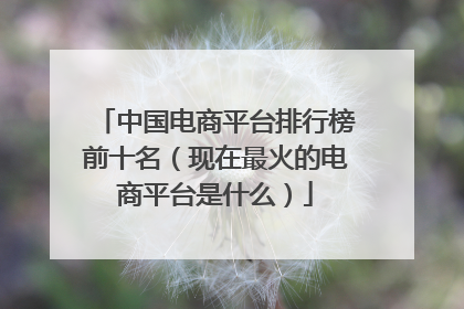 中国电商平台排行榜前十名（现在最火的电商平台是什么）