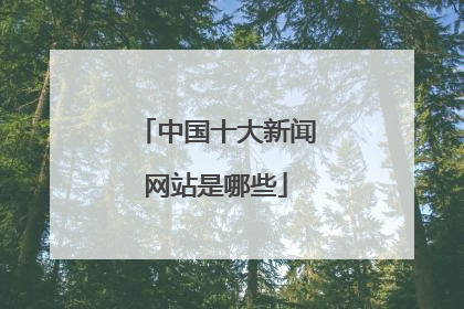 中国十大新闻网站是哪些