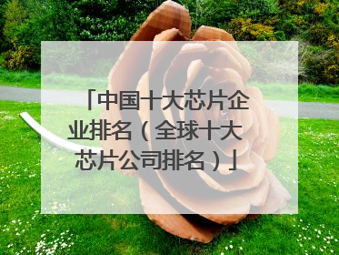 中国十大芯片企业排名(全球十大芯片公司排名)