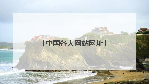 中国各大网站网址