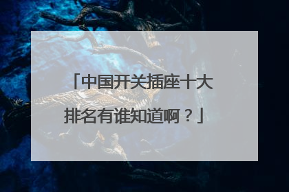 中国开关插座十大排名有谁知道啊?