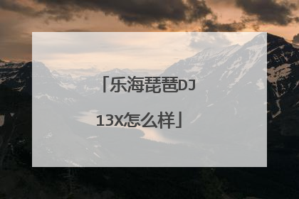 乐海琵琶DJ13X怎么样