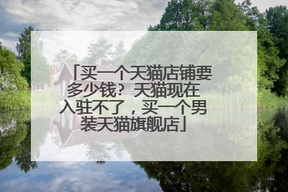 买一个天猫店铺要多少钱? 天猫现在入驻不了,买一个男装天猫旗舰店