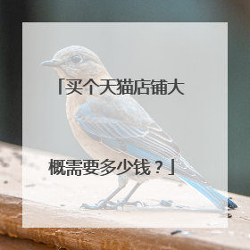 买个天猫店铺大概需要多少钱?