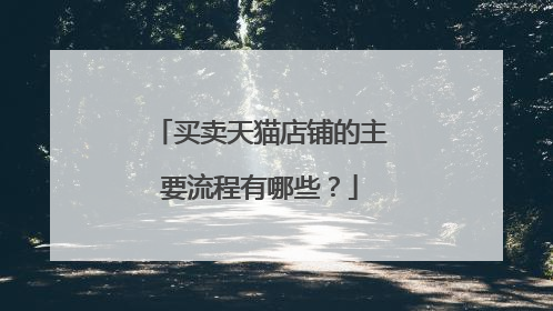 买卖天猫店铺的主要流程有哪些？