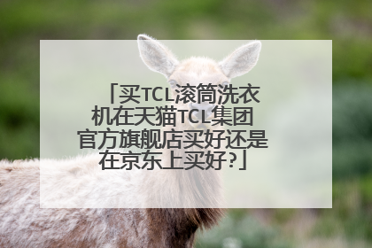买TCL滚筒洗衣机在天猫TCL集团官方旗舰店买好还是在京东上买好?