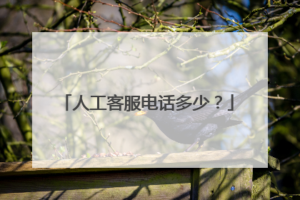 人工客服电话多少？