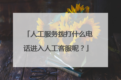 人工服务拨打什么电话进入人工客服呢?