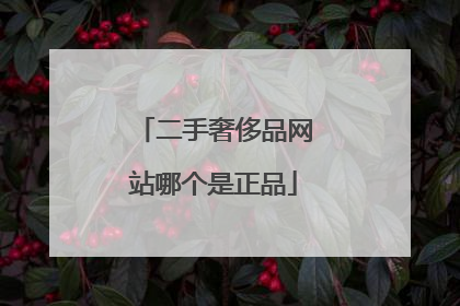 二手奢侈品网站哪个是正品