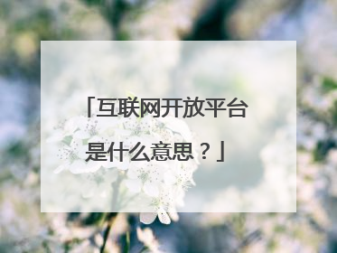 互联网开放平台是什么意思?