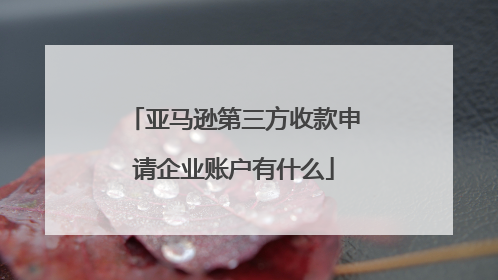 亚马逊第三方收款申请企业账户有什么
