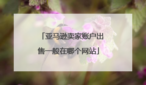 亚马逊卖家账户出售一般在哪个网站