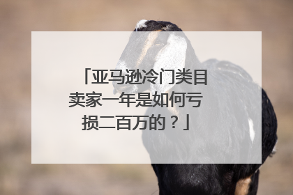 亚马逊冷门类目卖家一年是如何亏损二百万的?