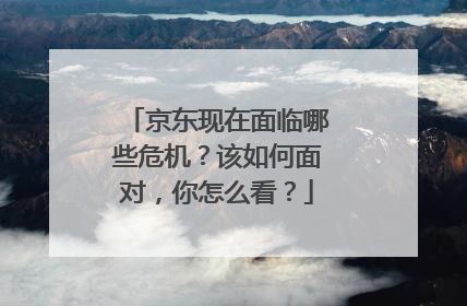 京东现在面临哪些危机?该如何面对,你怎么看?
