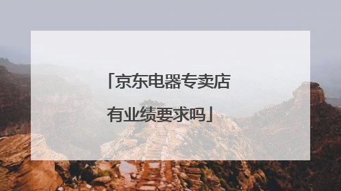 京东电器专卖店有业绩要求吗