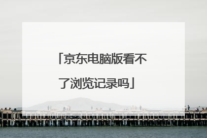 京东电脑版看不了浏览记录吗