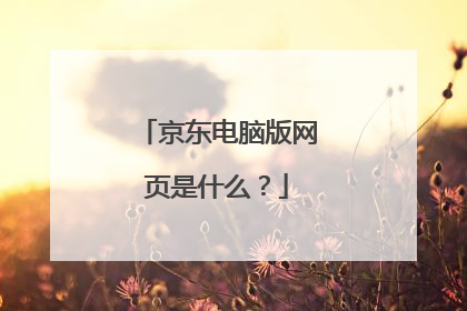 京东电脑版网页是什么?