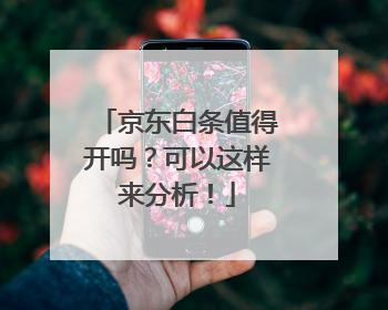 京东白条值得开吗?可以这样来分析!