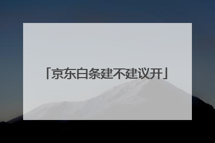 京东白条建不建议开