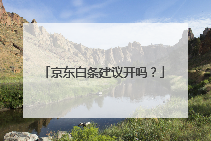 京东白条建议开吗?