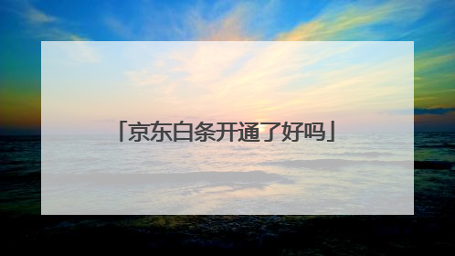 京东白条开通了好吗