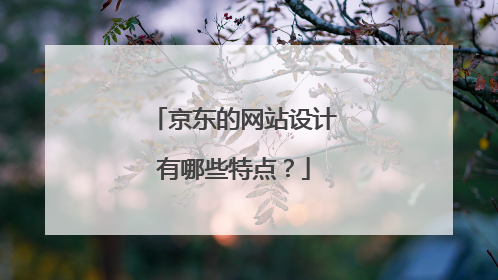 京东的网站设计有哪些特点?