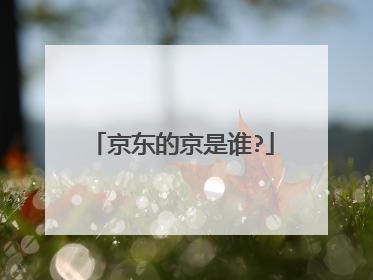 京东的京是谁?