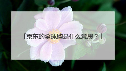 京东的全球购是什么意思?