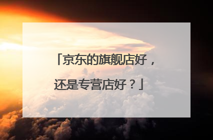 京东的旗舰店好,还是专营店好?