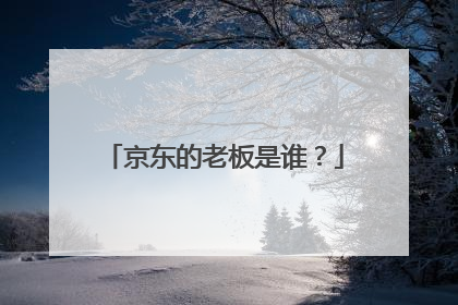 京东的老板是谁?