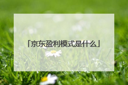 京东盈利模式是什么