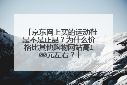 京东网上买的运动鞋是不是正品?为什么价格比其他购物网站高100元左右?