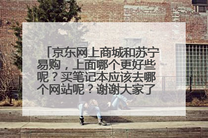 京东网上商城和苏宁易购,上面哪个更好些呢?买笔记本应该去哪个网站呢?谢谢大家了!感激不尽!!!