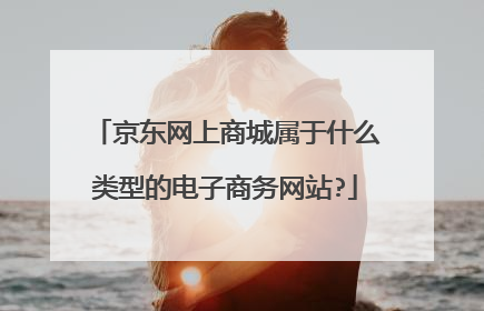 京东网上商城属于什么类型的电子商务网站?