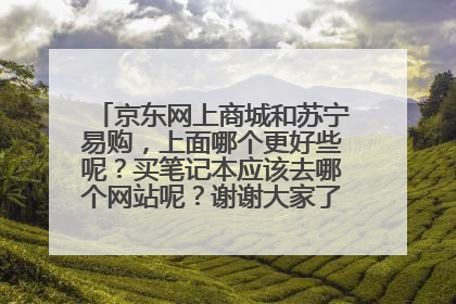 京东网上商城和苏宁易购,上面哪个更好些呢?买笔记本应该去哪个网站呢?谢谢大家了!感激不尽!!!