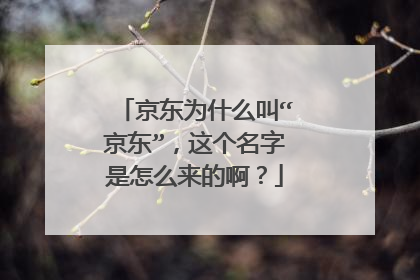 京东为什么叫“京东”,这个名字是怎么来的啊?