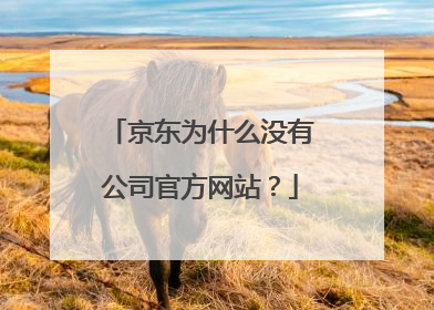 京东为什么没有公司官方网站?
