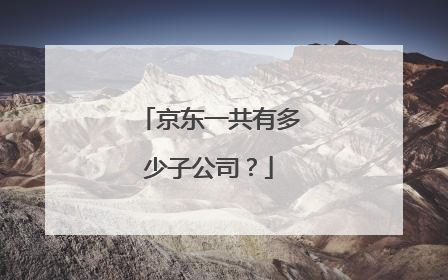 京东一共有多少子公司？